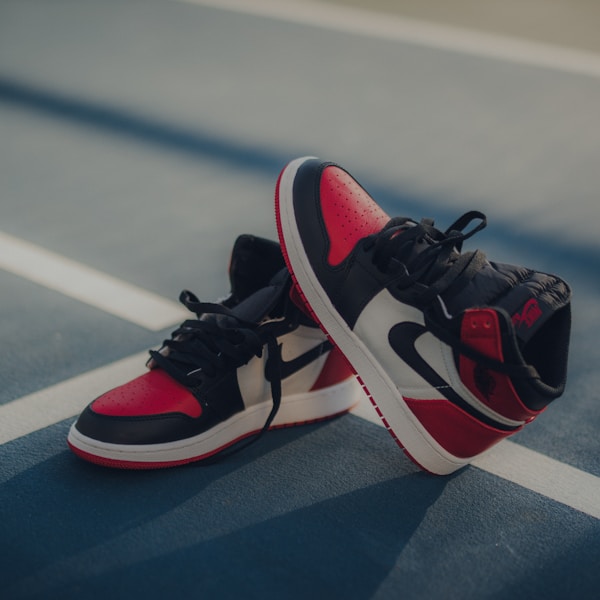Sneaker Art Print - Jordan Legacy